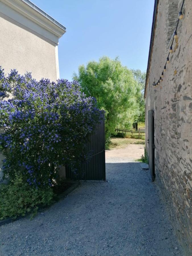 La Petite Boire - Chambres D'Hotes Pres D'Angers Murs-Erigne Zewnętrze zdjęcie