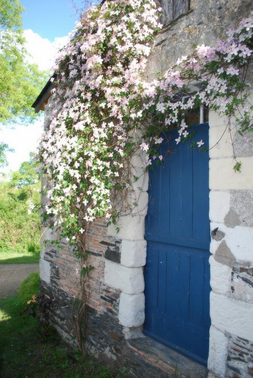 La Petite Boire - Chambres D'Hotes Pres D'Angers Murs-Erigne Zewnętrze zdjęcie